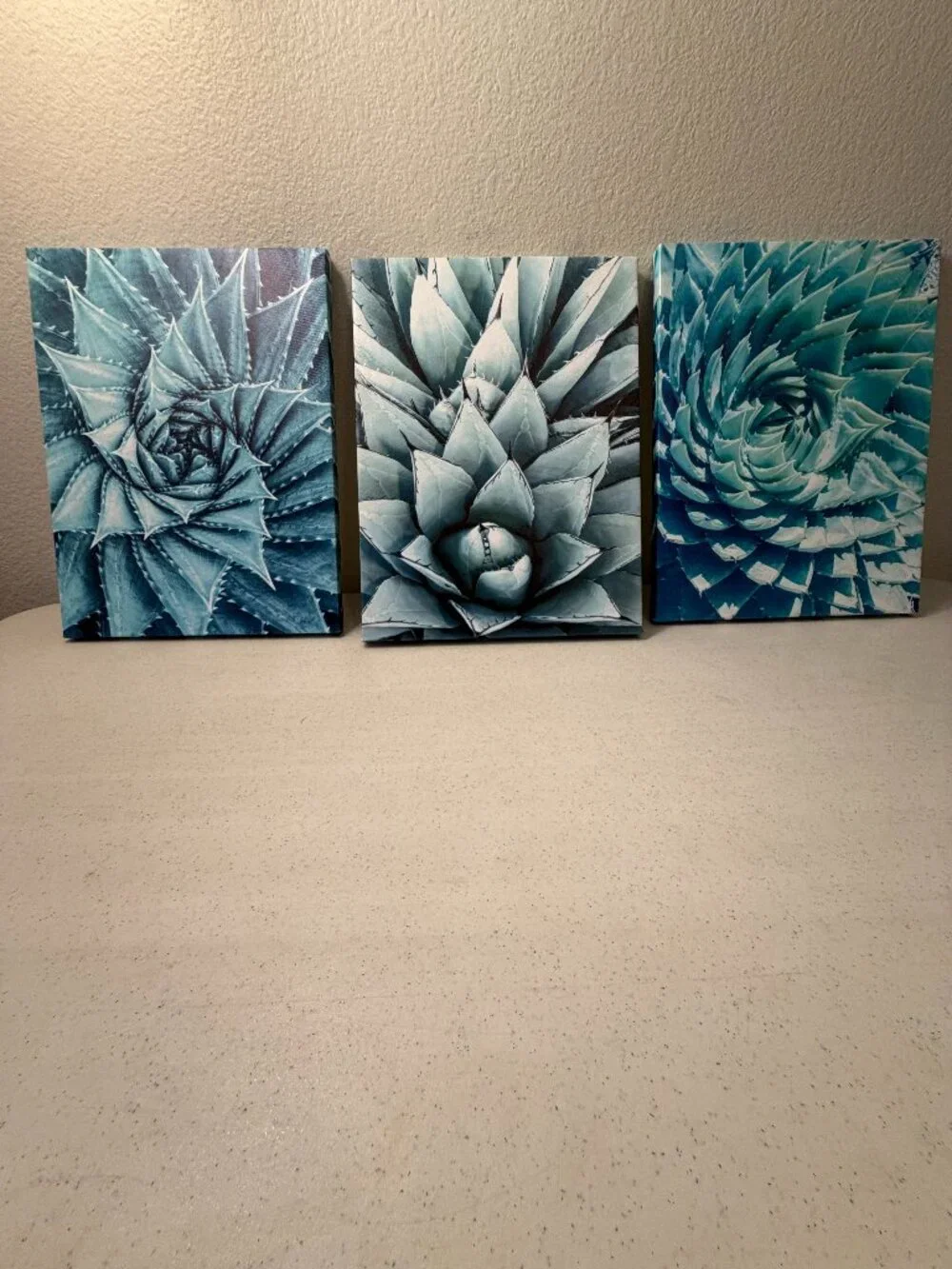 3-Piece Agave Botanical Succulent Wrapped Canvas Wall Art Set